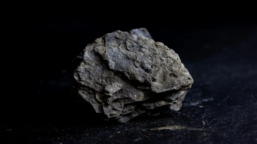 شركة العطارات: الصخر الزيتي يعزز أمن الطاقة في الأردن