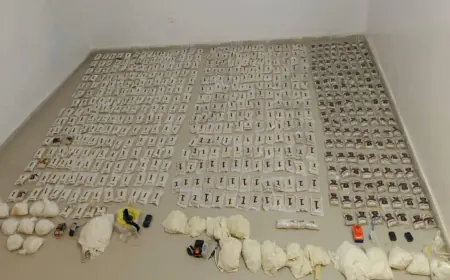 إحباط 10 محاولات تهريب مخدرات عبر بالونات وطائرة مسيرة