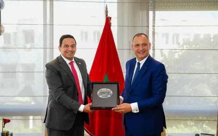 أبو هنية من الرباط: الانتقال من التعاون التقليدي إلى التكامل الاقتصادي الحقيقي (صور)