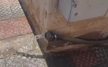 حملة جديدة في بيادر وادي السير وأبو نصير لضبط اعتداءات