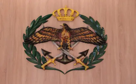 الجيش يحبط تهريب مواد مخدرة بواسطة طائرة مسيّرة