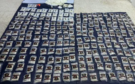 الجيش يحبط 6 محاولات لتهريب كميات كبيرة من المواد المخدرة