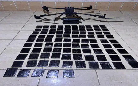 المنطقة العسكرية الجنوبية تحبط محاولة تهريب كمية من المواد المخدرة