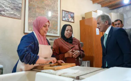 رئيس الوزراء يتفقد عددا من المواقع في منطقة عراق الأمير