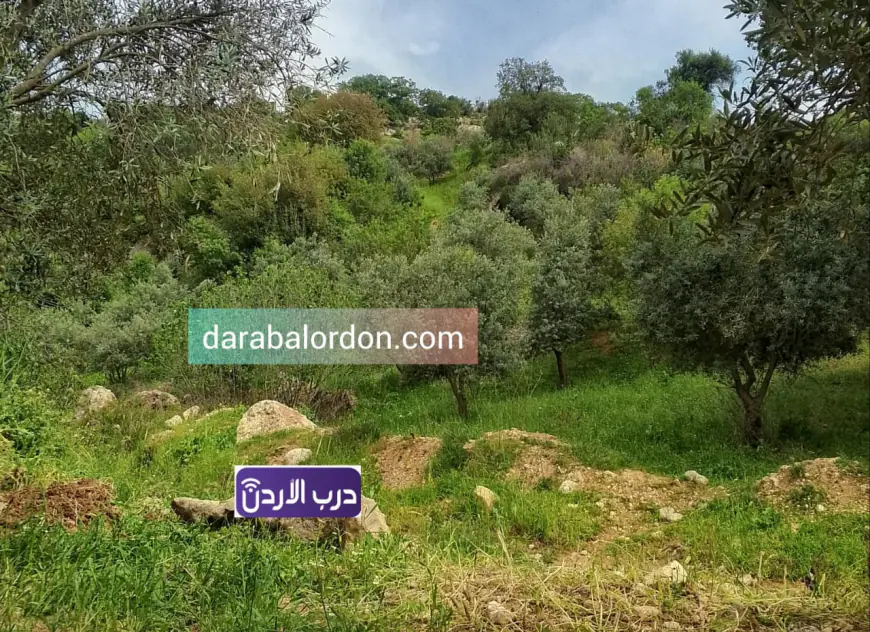 انخفاض ملموس على درجات الحرارة (التفاصيل)