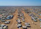 أكثر من 190 ألف لاجئ سوري يعودون من الأردن إلى بلادهم منذ كانون الأول 2024