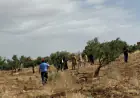 الجيش..إسقاط طائرة مسيرة مجهولة المصدر شمال الأردن دون إصابات