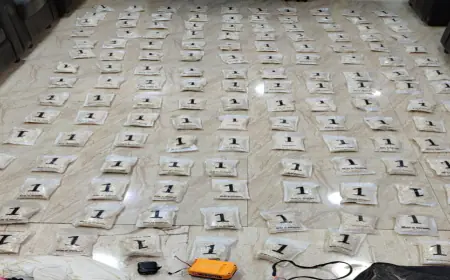 الجيش يحبط 3 محاولات تهريب  مخدرات بواسطة بالونات