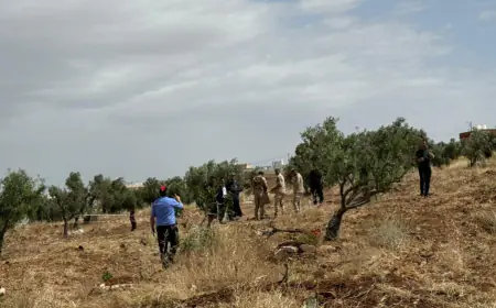 الجيش..إسقاط طائرة مسيرة مجهولة المصدر شمال الأردن دون إصابات