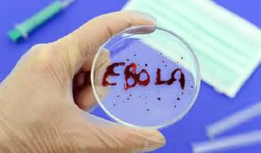 بسبب فيروس إيبولا.. الأردن يمنع دخول القادمين من الكونغو وأوغندا احترازياً