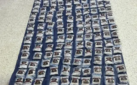 المنطقة العسكرية الشرقية تحبط محاولة تهريب مخدرات بواسطة بالونات