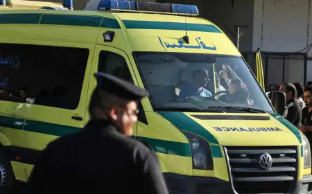 تطور جديد في جريمة الإسكندرية.. فحص نفسي للمحامية المتهمة بقتل والدتها