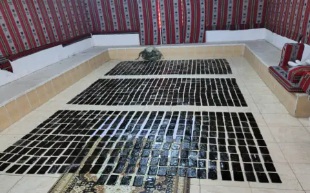 الجيش يضبط 4 حقائب مخدرات بعد محاولة تهريب بـ (درون)